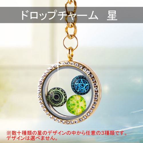 ロケットペンダントの中に入れるチャーム キーホルダー用チャーム ※ロケットペンダントは別売り