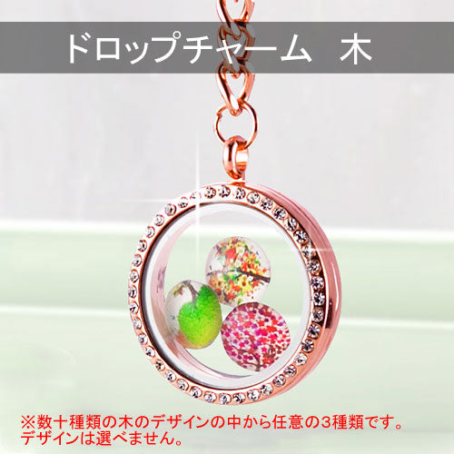 ロケットペンダントの中に入れるチャーム キーホルダー用チャーム ※ロケットペンダントは別売り