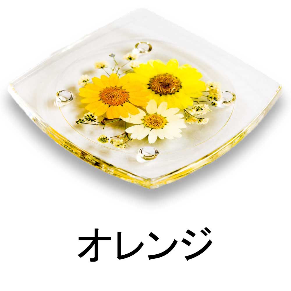 ハーバリウム(植物標本) コースター 1枚